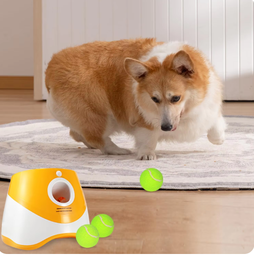 Lanzador automático de pelotas para perros
