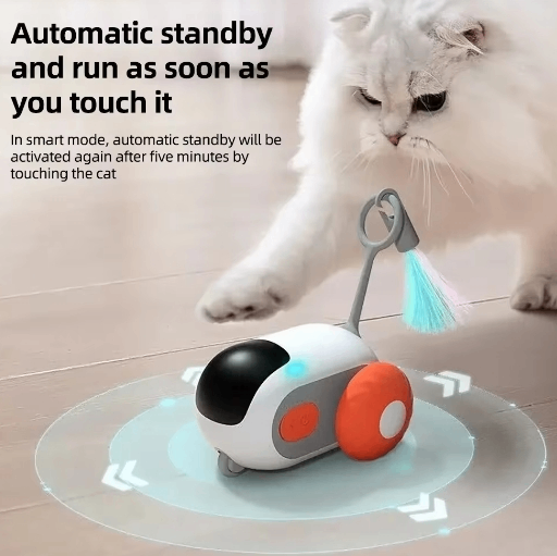 Coche interactivo para gatos con mando – Zarpa Feliz