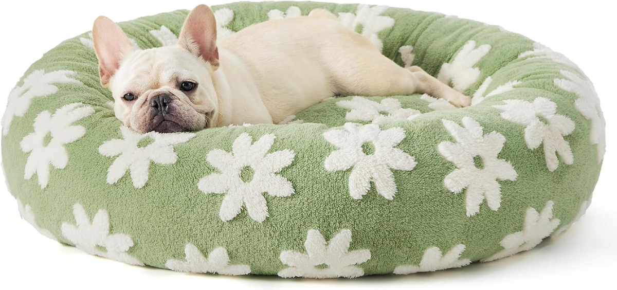 Cama donut antiestrés CozyPaw para perros y gatos – Zarpa Feliz