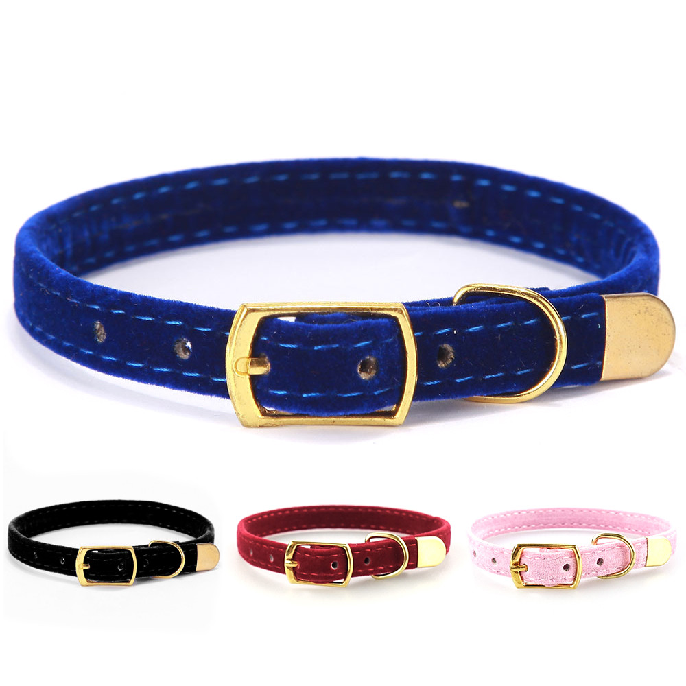 Collar para gato de terciopelo con hebilla dorada – Zarpa Feliz