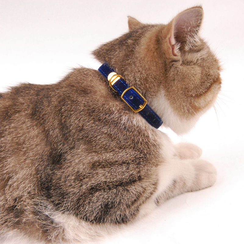 Collar para gato de terciopelo con hebilla dorada – Zarpa Feliz